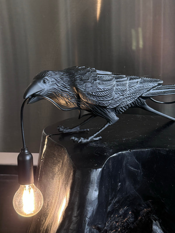 The Storyteller Perched Between Light and Shadow
